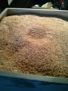 Bucket of grains